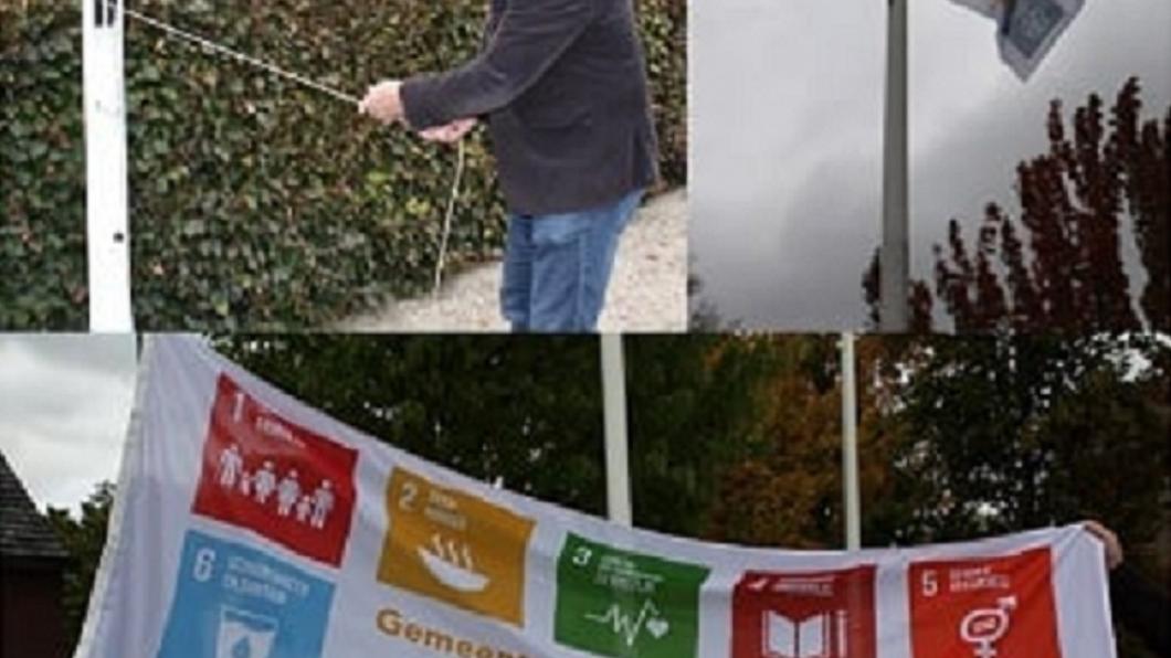 Global goals web.jpg